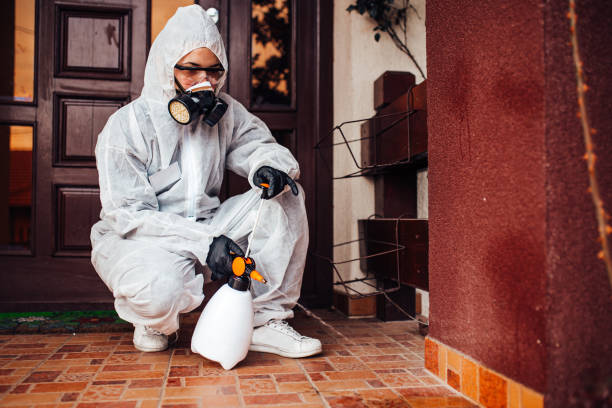 Reliable Cockroach Control contractor in Rock Springs, WY by Nex Pest Control